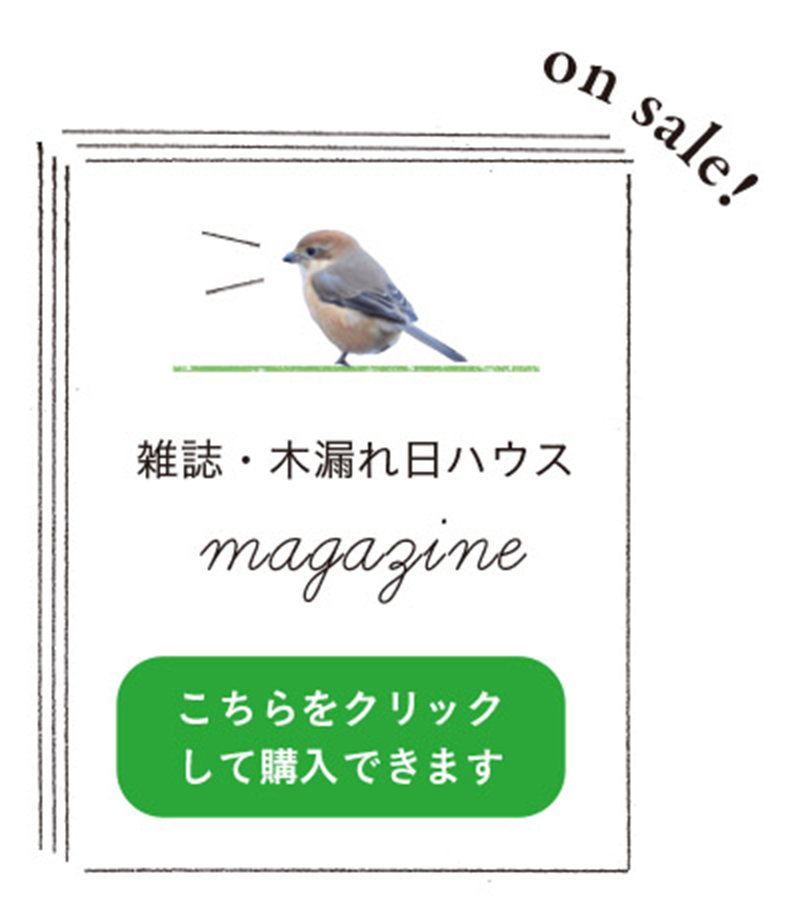 magazine